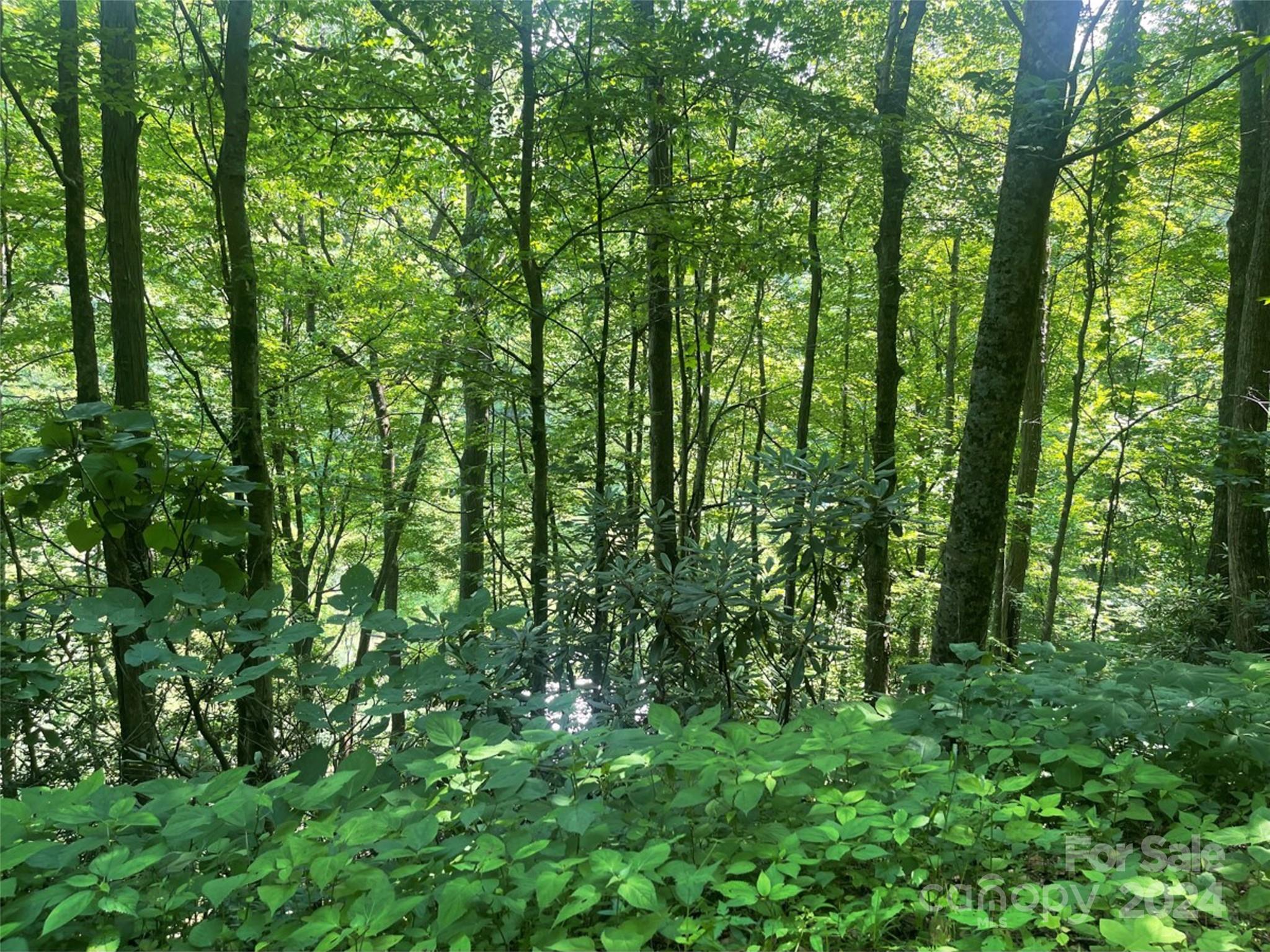 Bakersville NC 28705