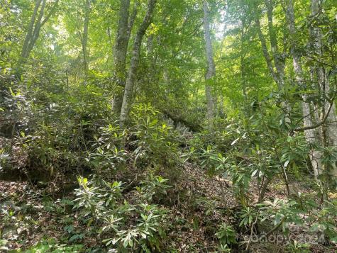 Bakersville NC 28705