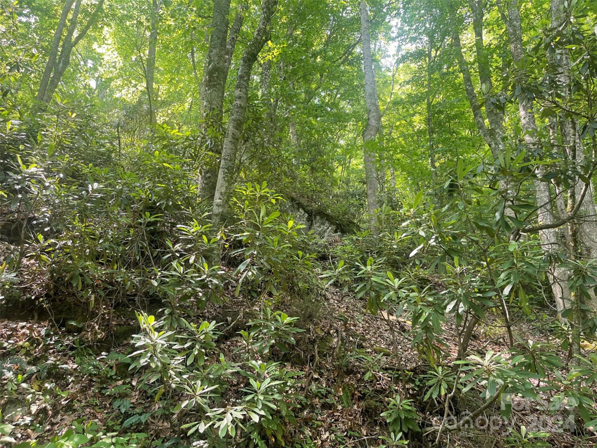 Bakersville NC 28705