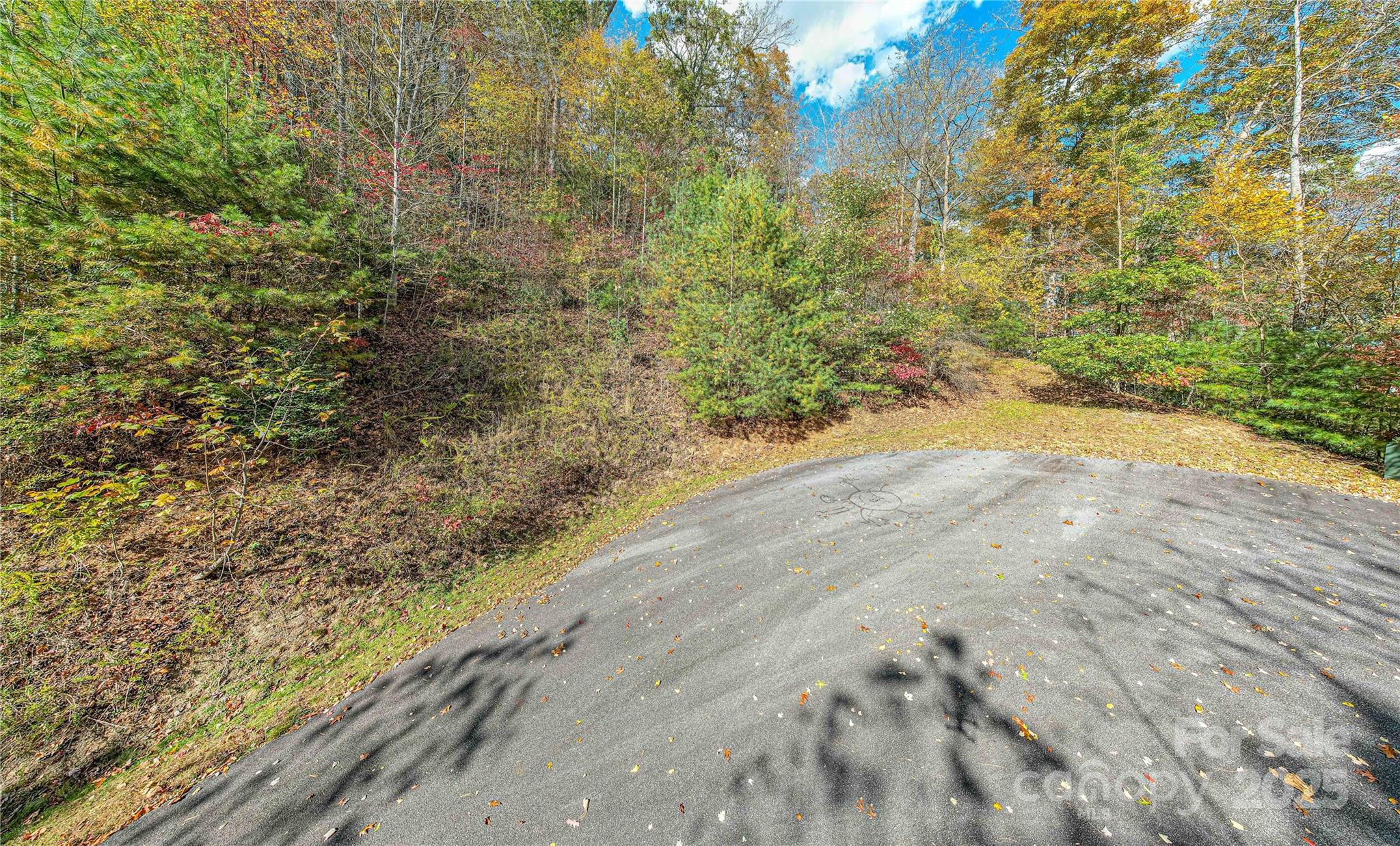 Tbd High Point Trail Brevard NC 28712