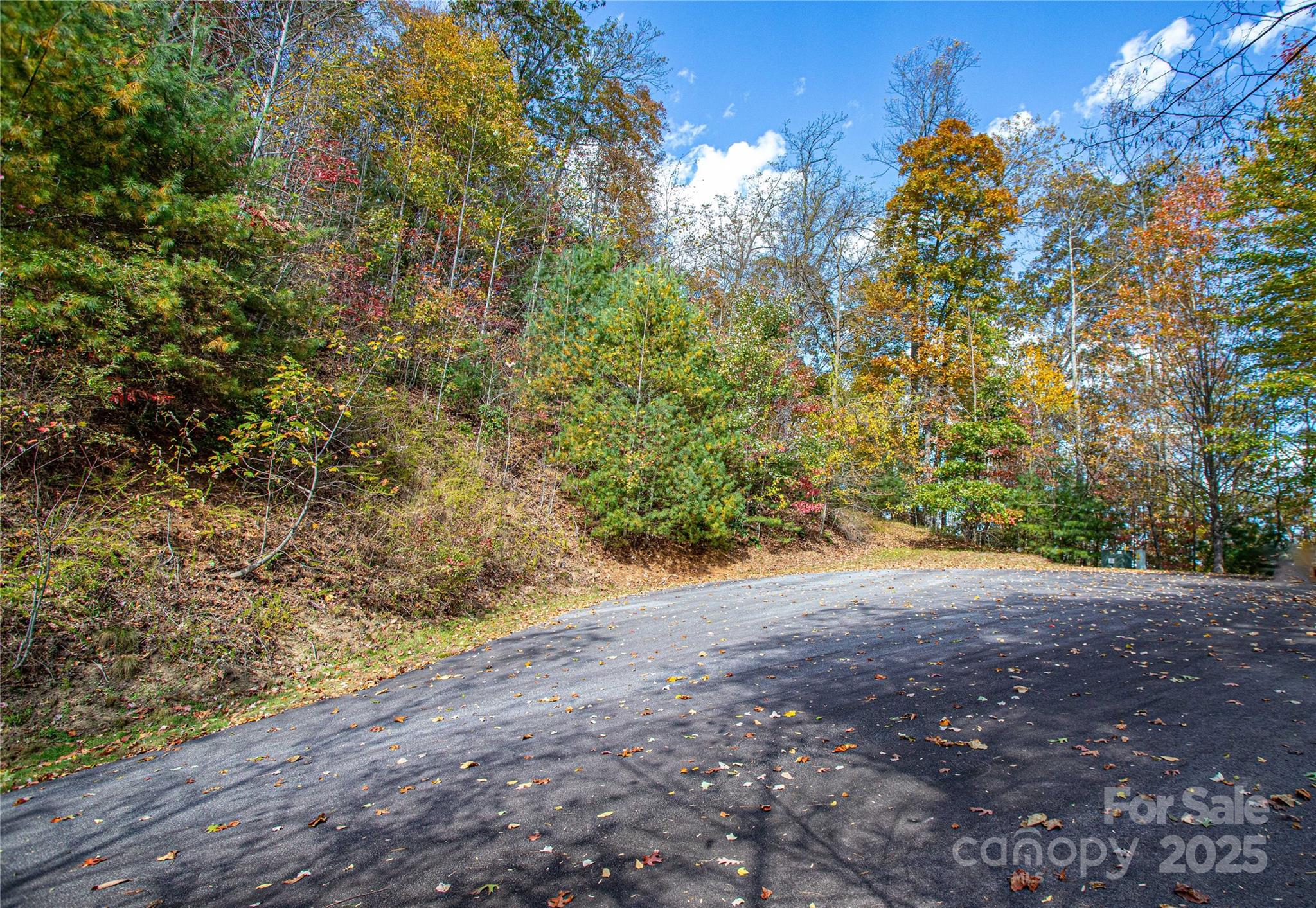 Tbd High Point Trail Brevard NC 28712