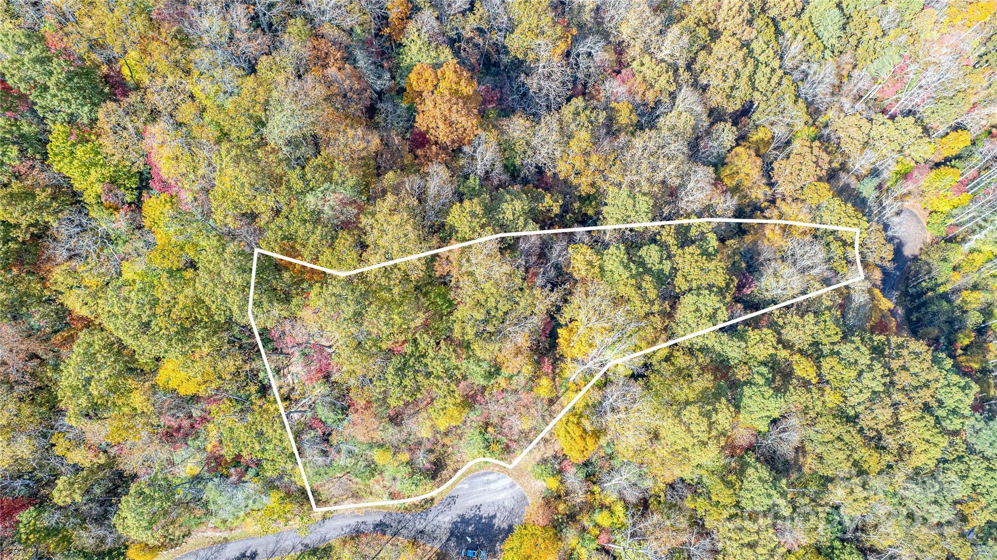 Tbd High Point Trail Brevard NC 28712