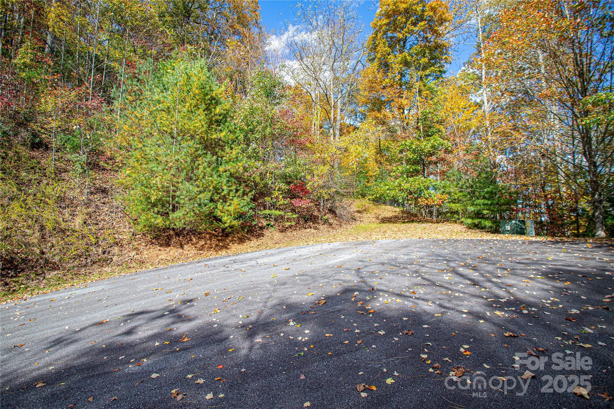 Tbd High Point Trail Brevard NC 28712