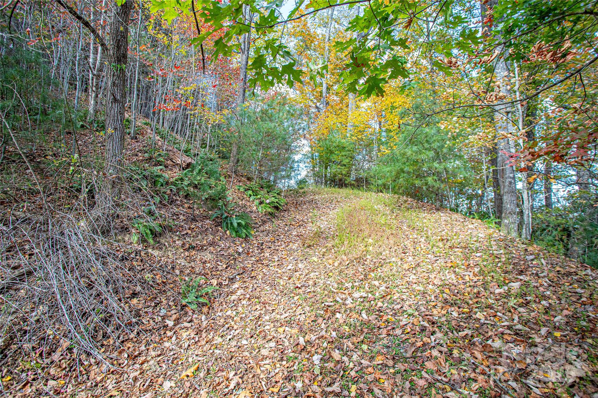 Tbd High Point Trail Brevard NC 28712