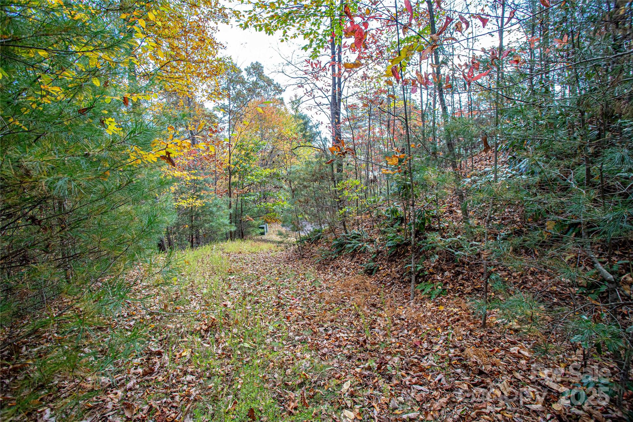 Tbd High Point Trail Brevard NC 28712