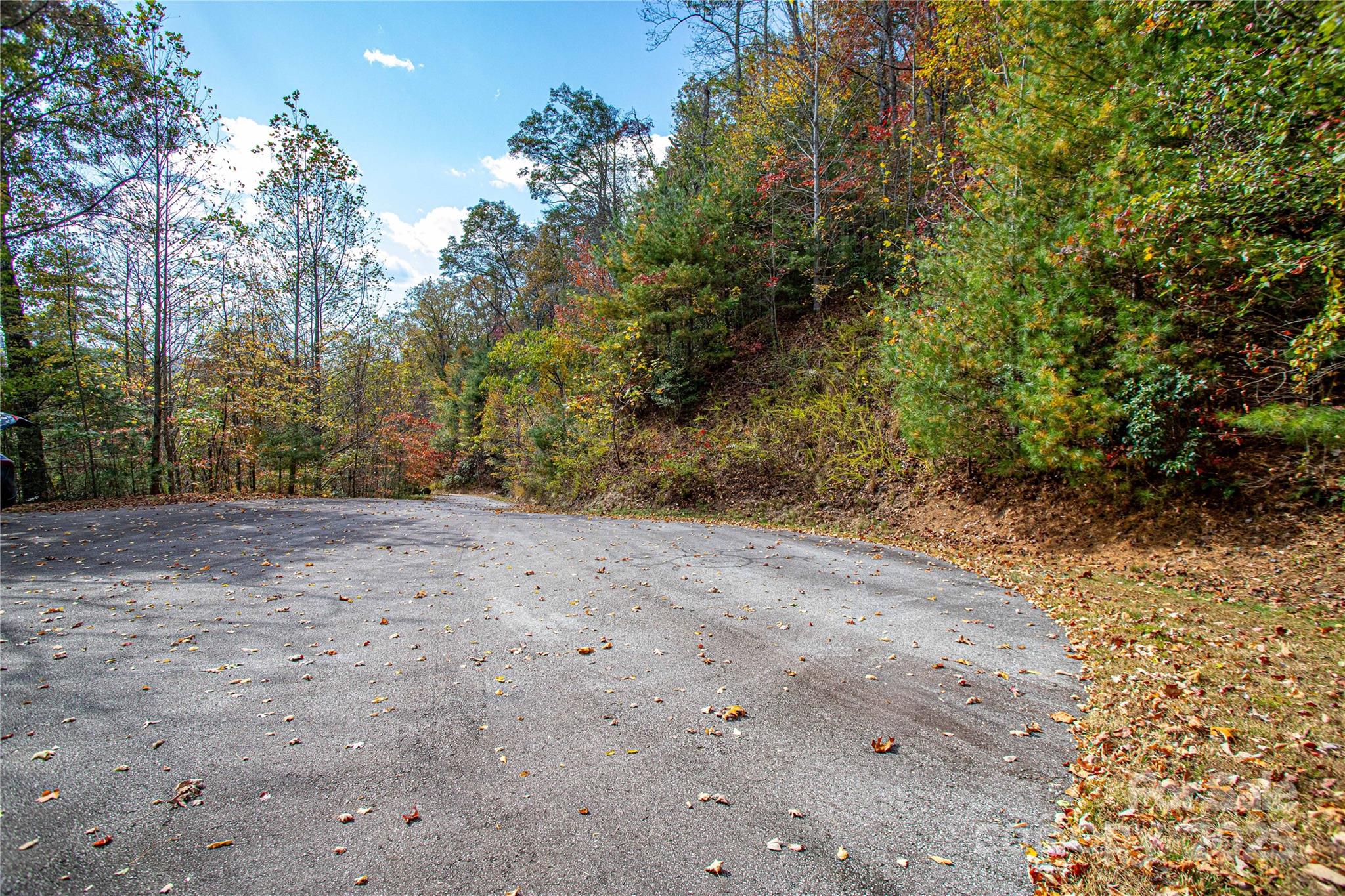 Tbd High Point Trail Brevard NC 28712