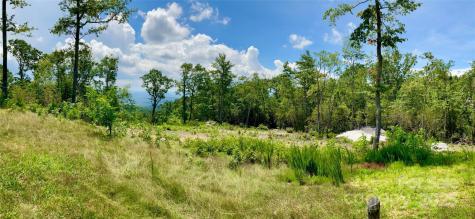 0 Mountain Grove Lane Fletcher NC 28732