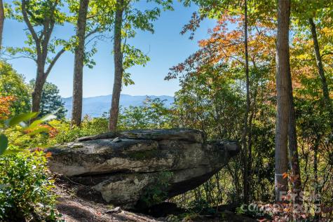 0 Mountain Grove Lane Fletcher NC 28732