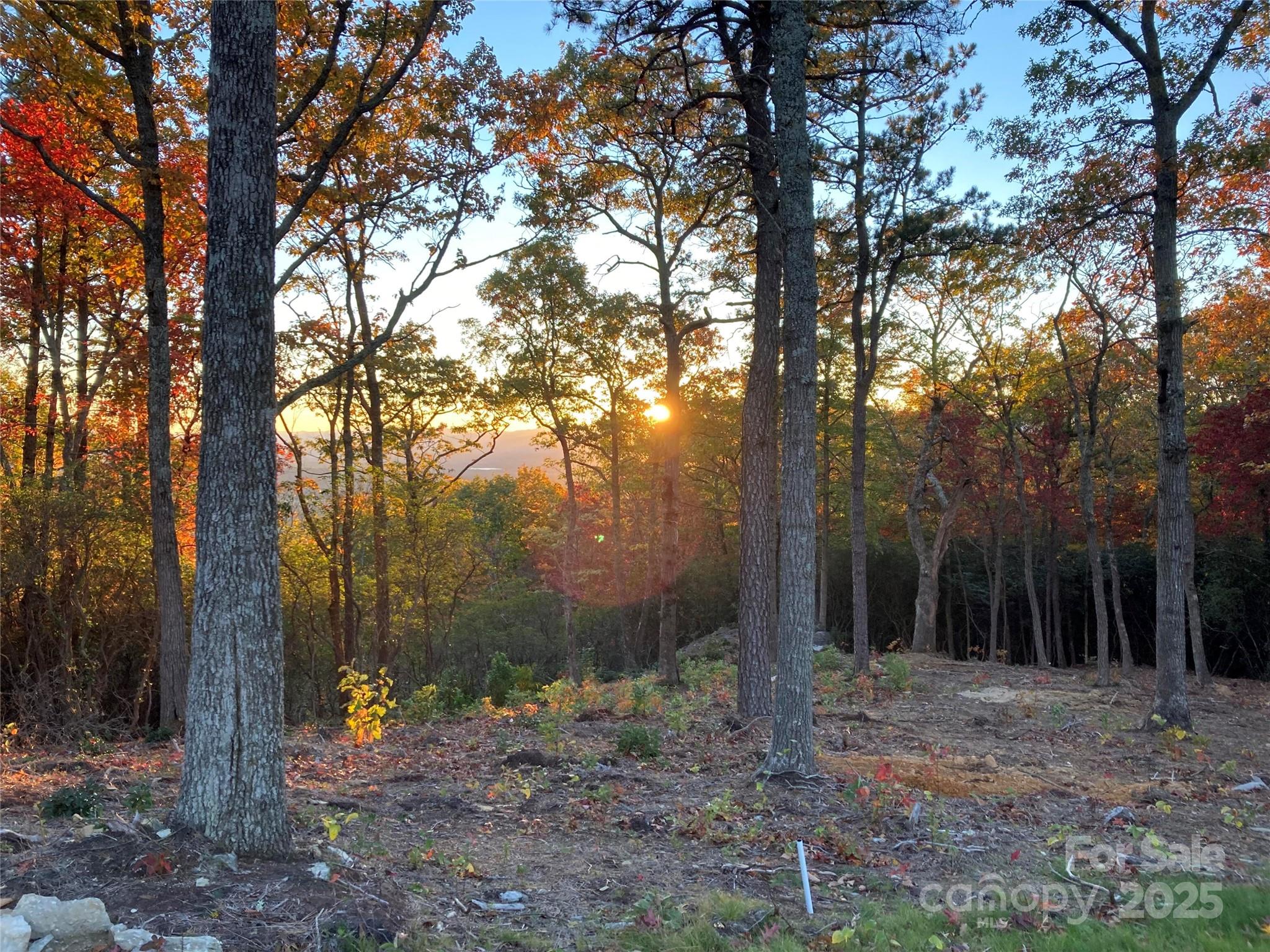 0 Mountain Grove Lane Fletcher NC 28732