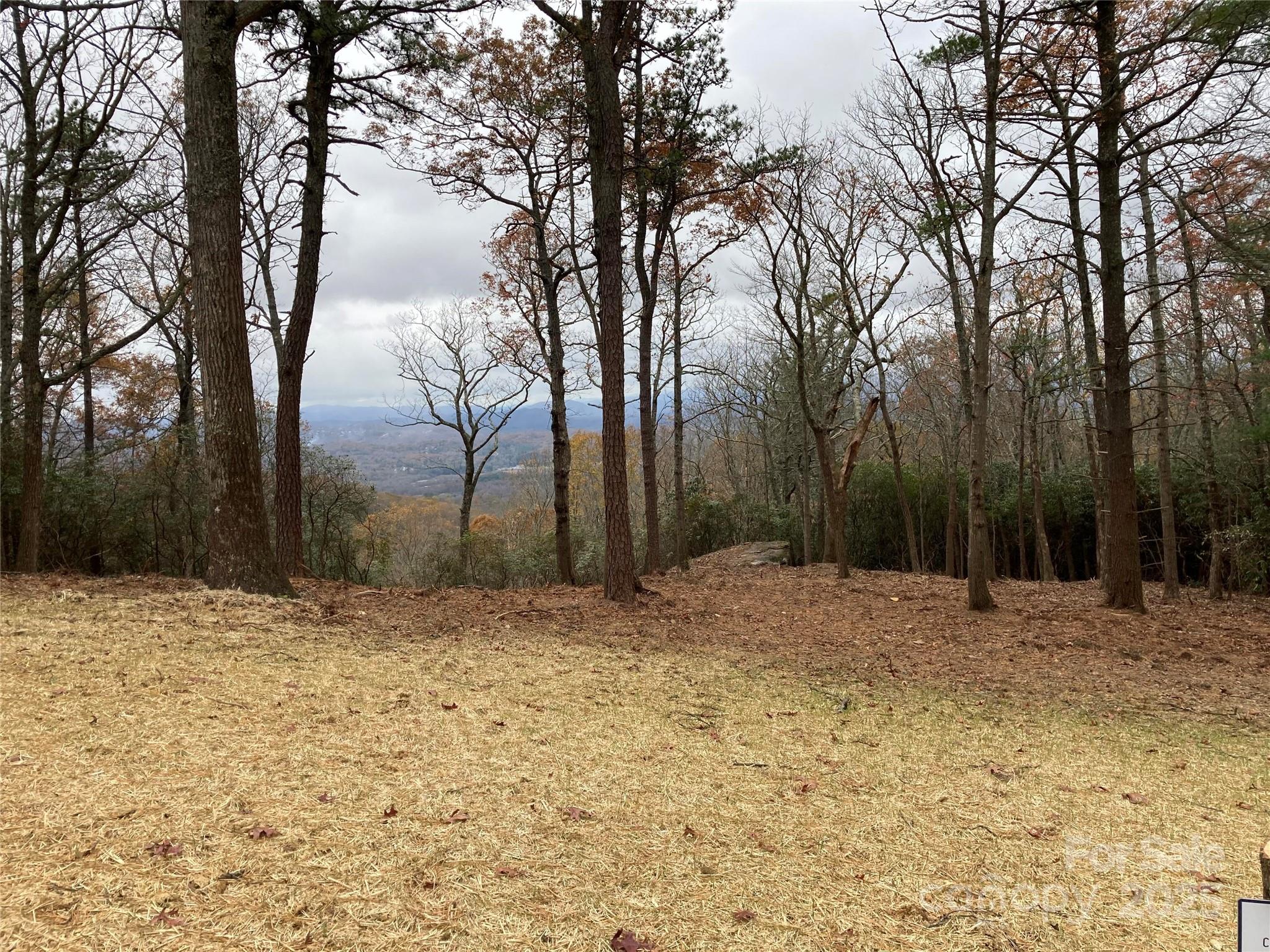 0 Mountain Grove Lane Fletcher NC 28732