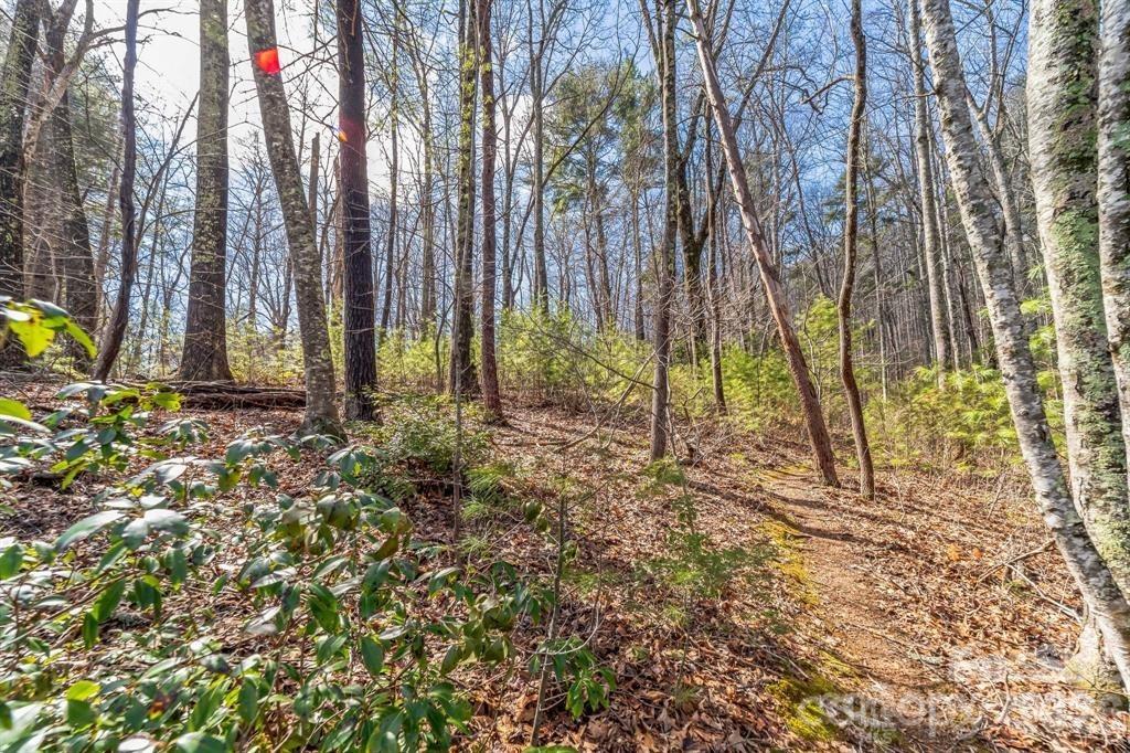 99999 Parker Road Asheville NC 28805