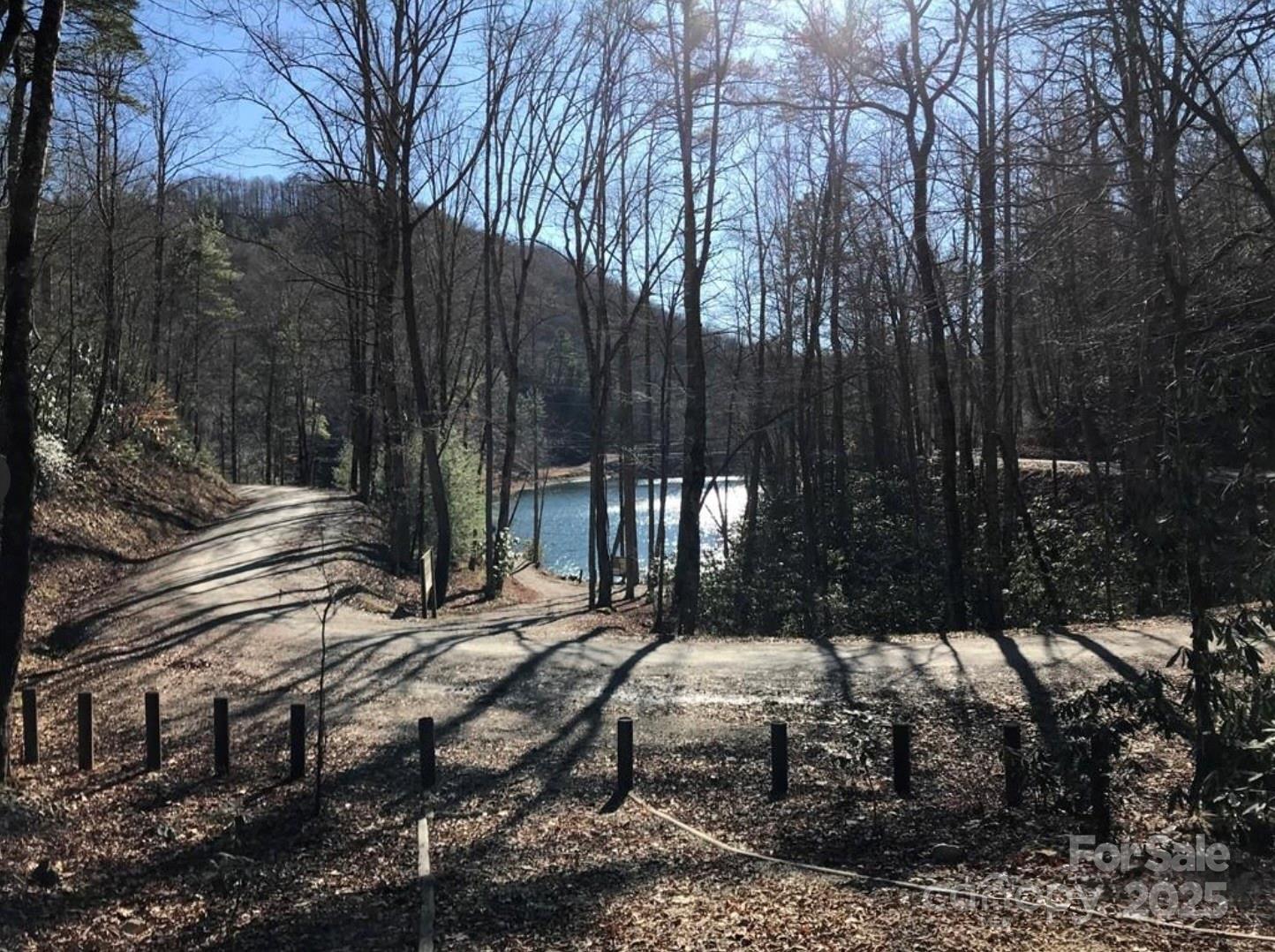0 Saturn Way Topton NC 28781