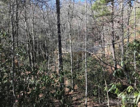 0 Saturn Way Topton NC 28781