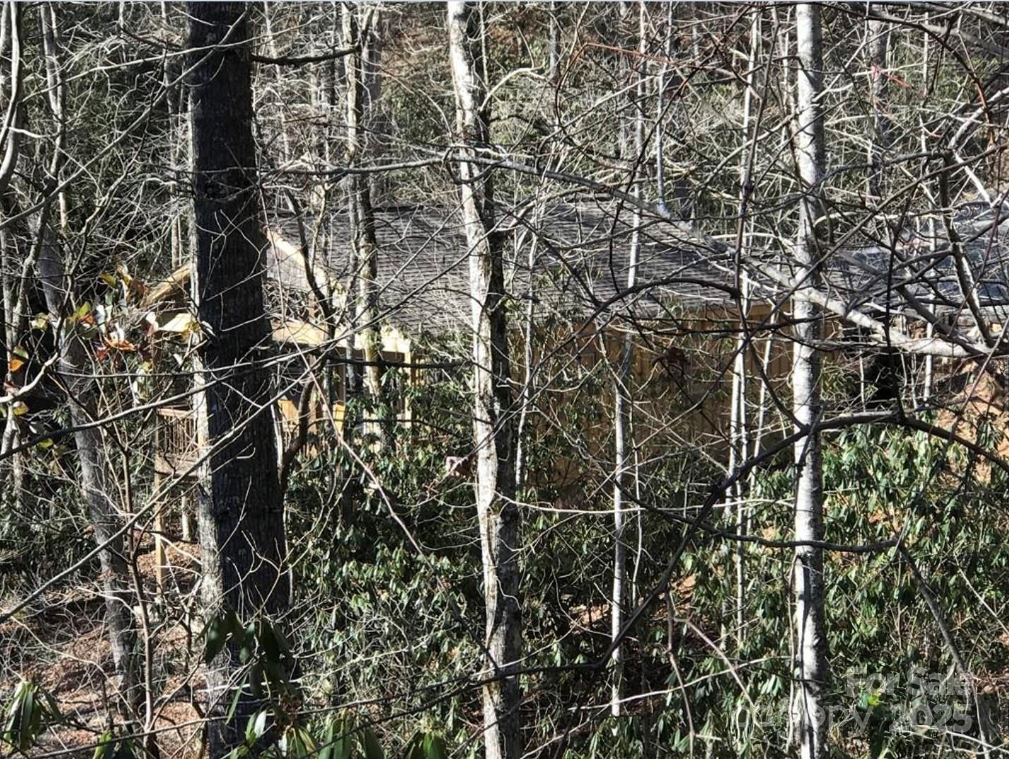 0 Saturn Way Topton NC 28781