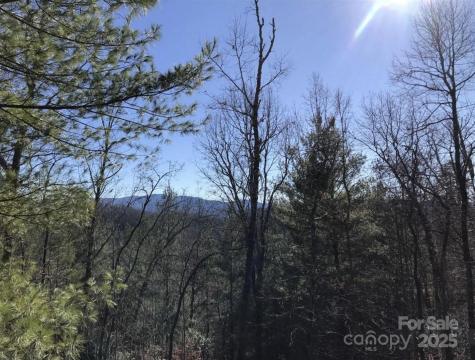 0 Saturn Way Topton NC 28781
