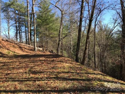 0 Saturn Way Topton NC 28781