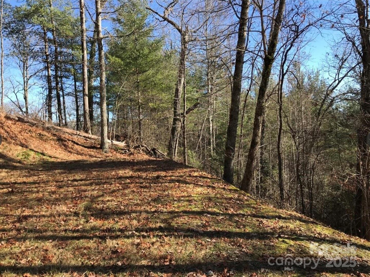0 Saturn Way Topton NC 28781