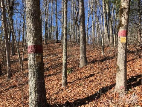 0 Saturn Way Topton NC 28781