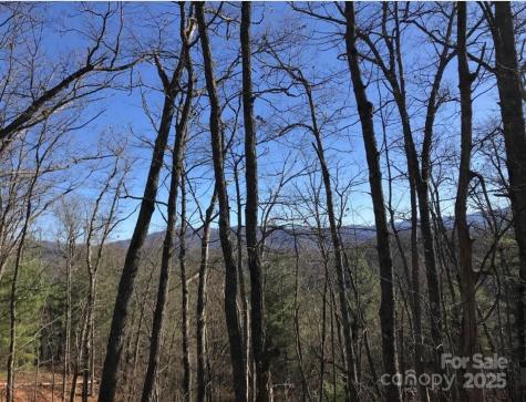 0 Saturn Way Topton NC 28781