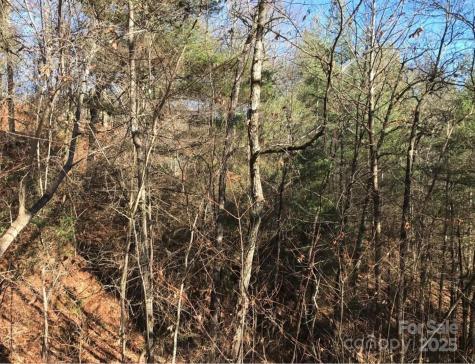 0 Saturn Way Topton NC 28781