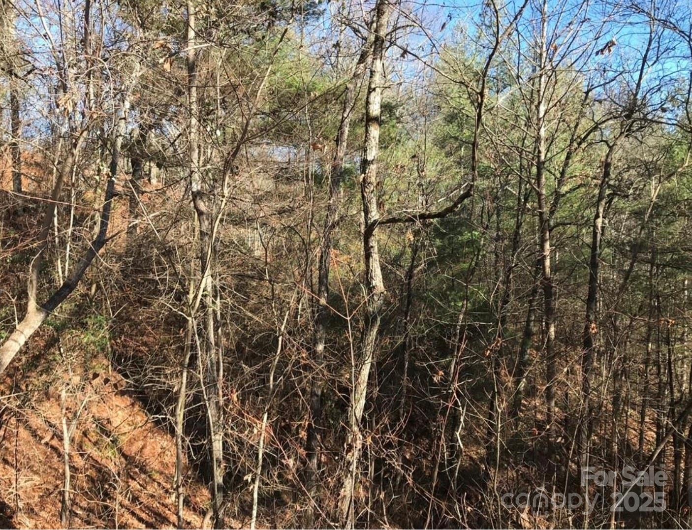 0 Saturn Way Topton NC 28781