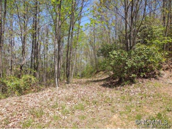 1019 Creston Drive Black Mountain NC 28711