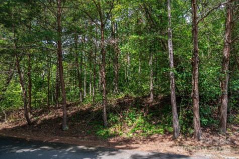 Lot 26 Line Drive Forest City NC 28043