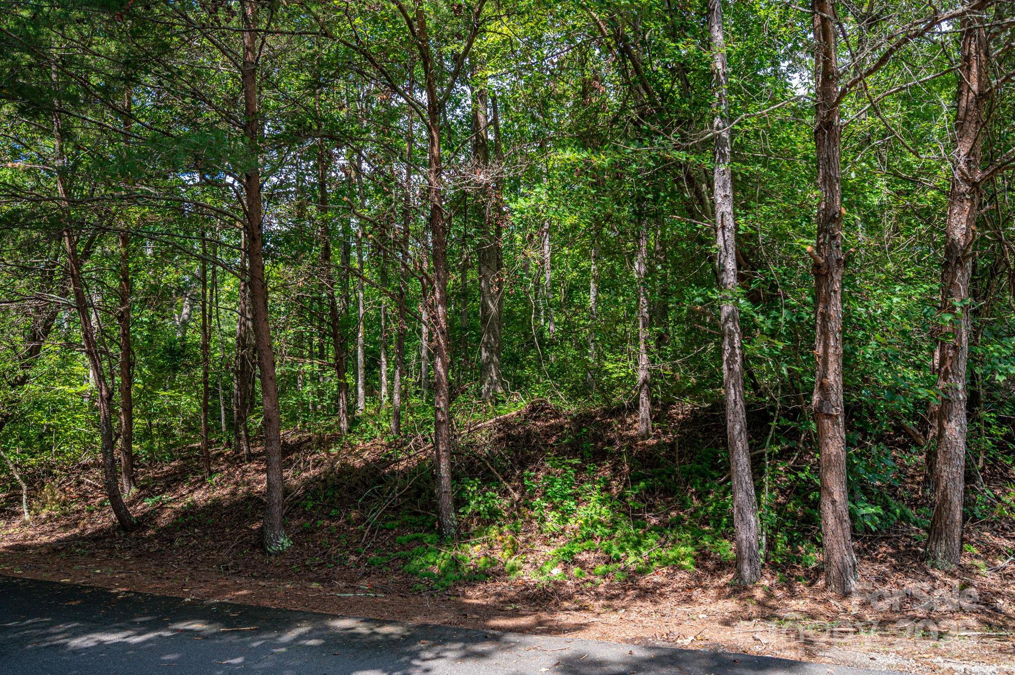 Lot 26 Line Drive Forest City NC 28043