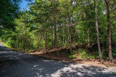 Lot 26 Line Drive Forest City NC 28043