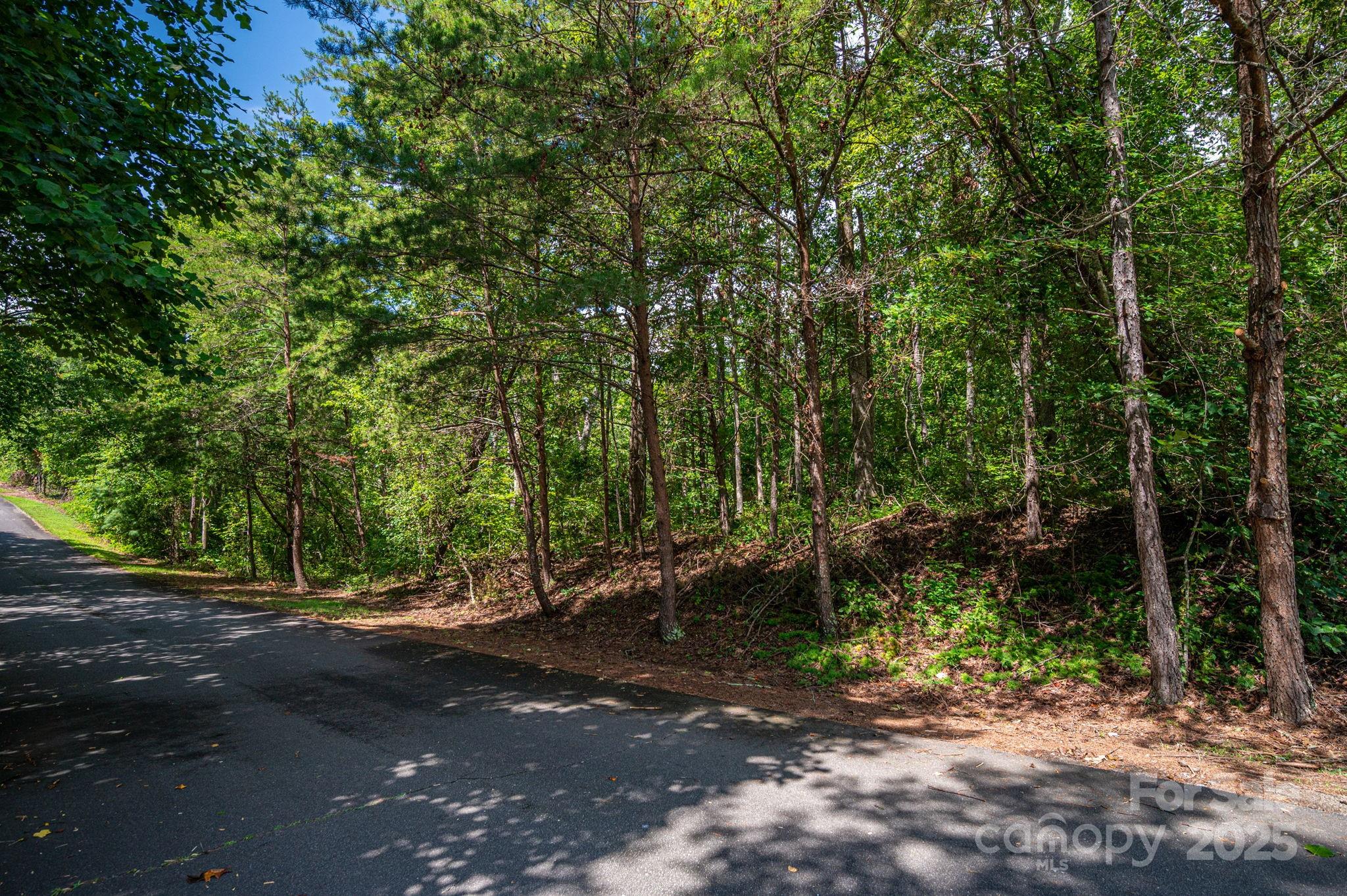 Lot 26 Line Drive Forest City NC 28043