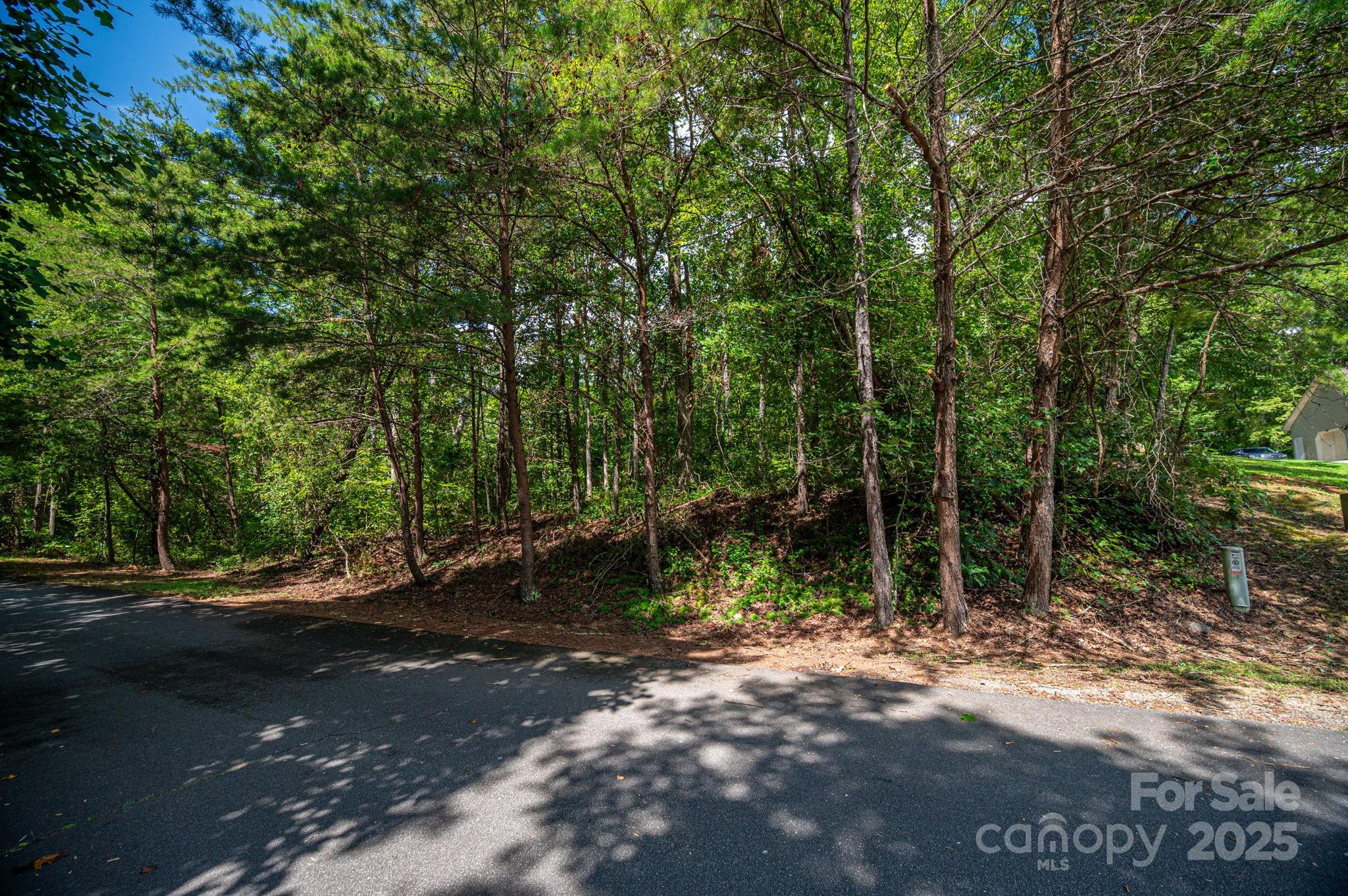 Lot 26 Line Drive Forest City NC 28043
