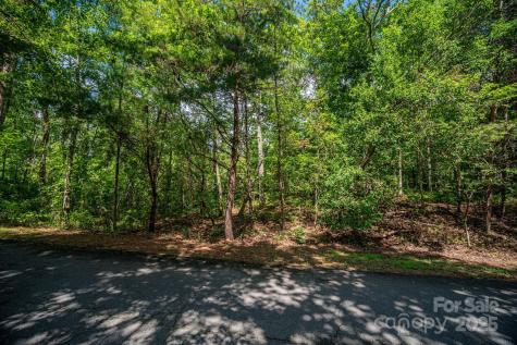 Lot 26 Line Drive Forest City NC 28043