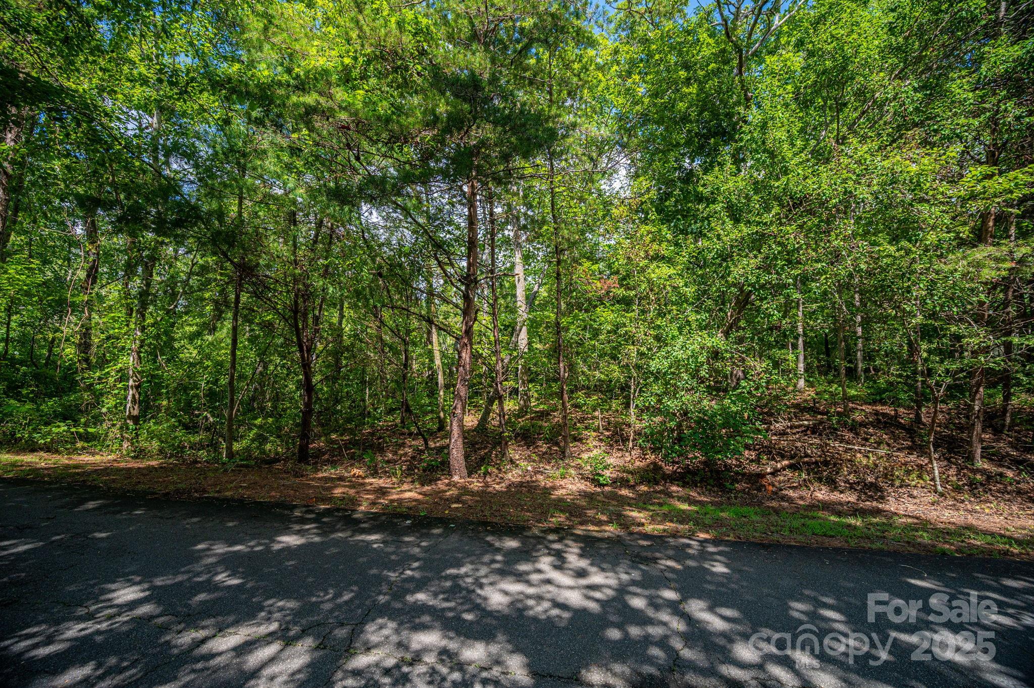 Lot 26 Line Drive Forest City NC 28043