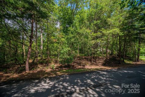 Lot 26 Line Drive Forest City NC 28043