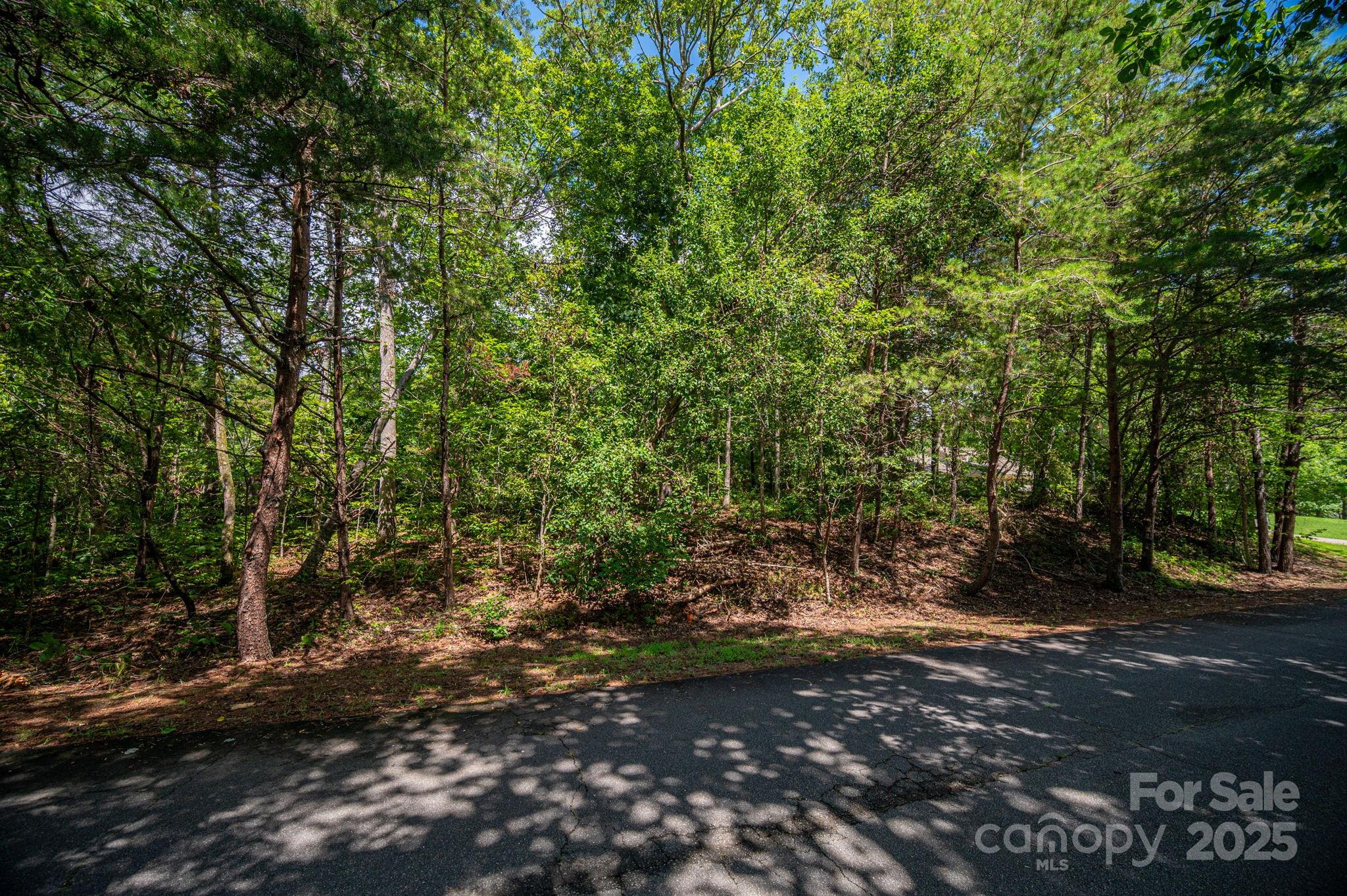 Lot 26 Line Drive Forest City NC 28043