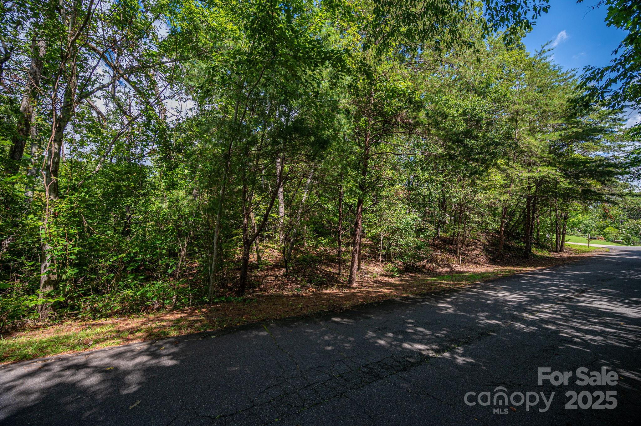 Lot 26 Line Drive Forest City NC 28043