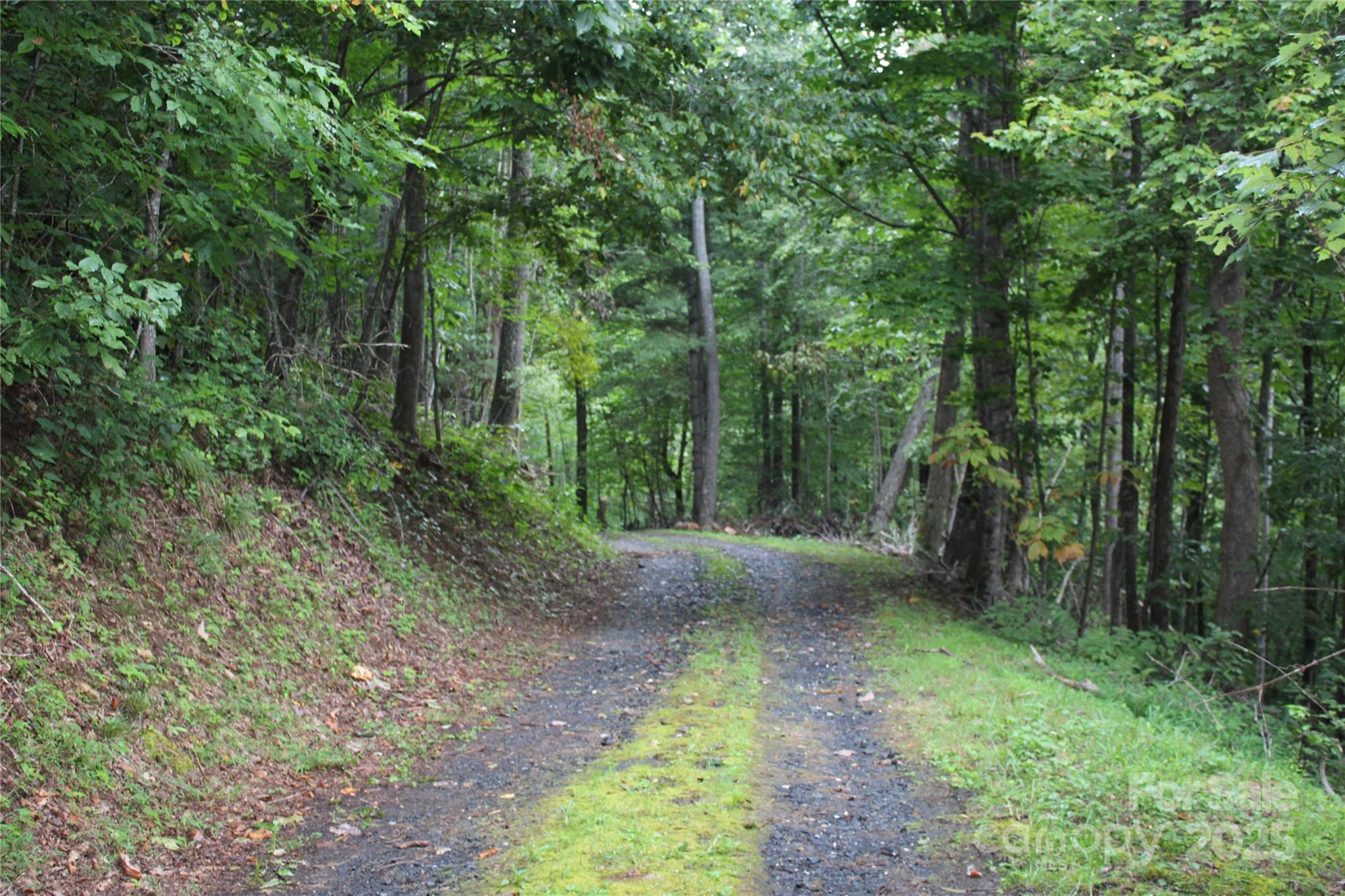 Lots 8 & 13 Laurel Hill Drive Spruce Pine NC 28777