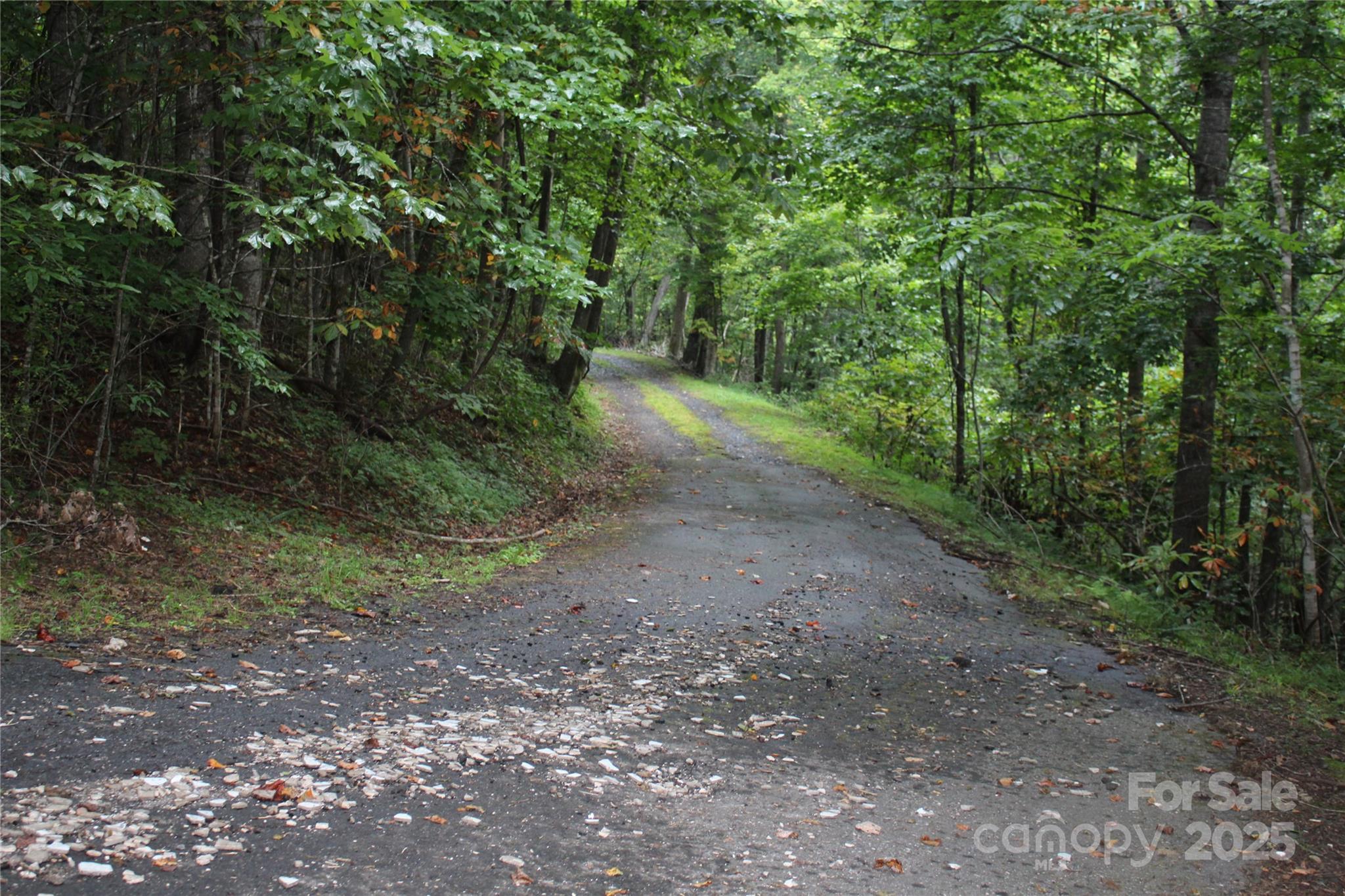 Lots 8 & 13 Laurel Hill Drive Spruce Pine NC 28777