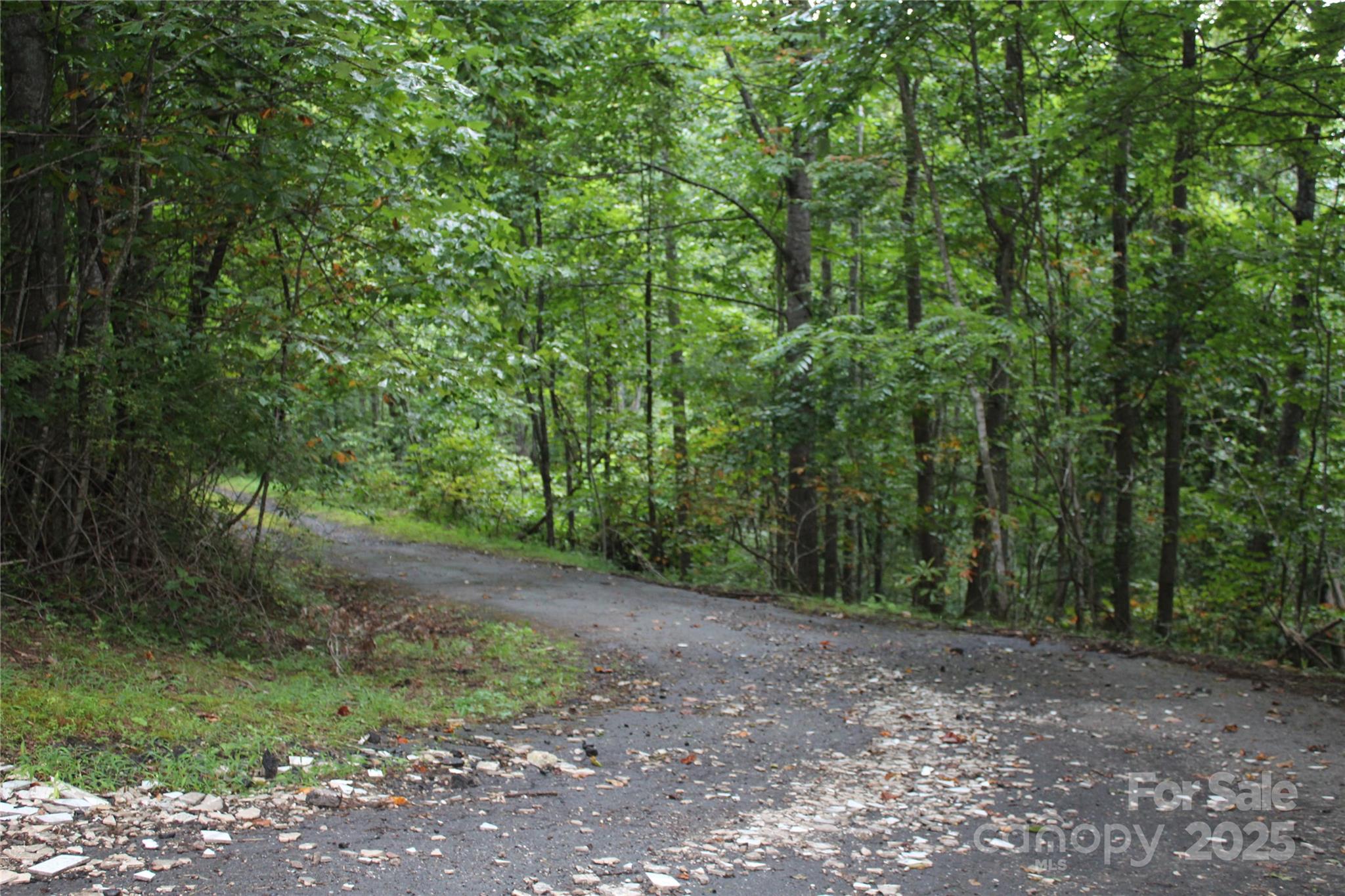 Lots 8 & 13 Laurel Hill Drive Spruce Pine NC 28777