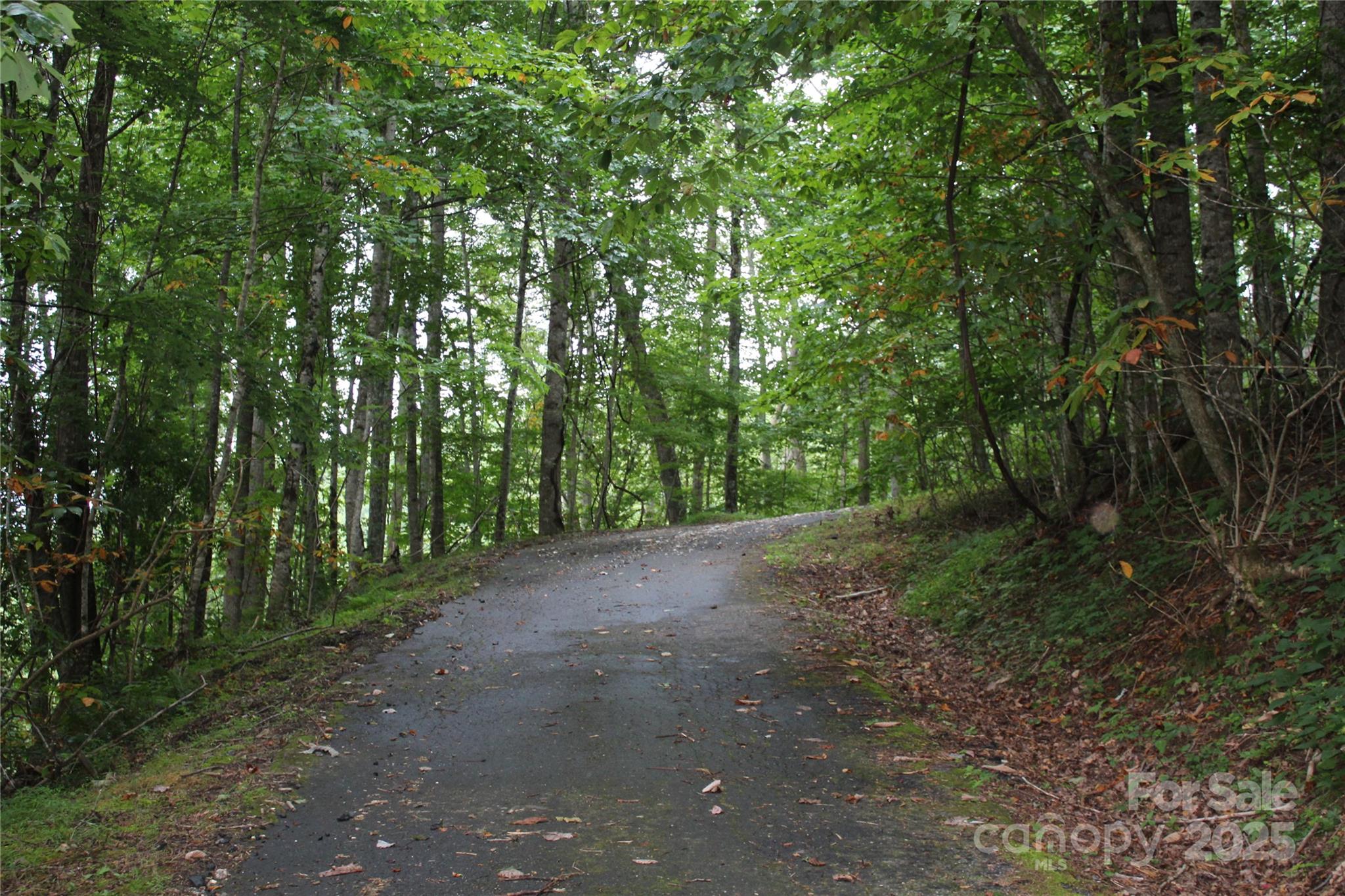 Lots 8 & 13 Laurel Hill Drive Spruce Pine NC 28777