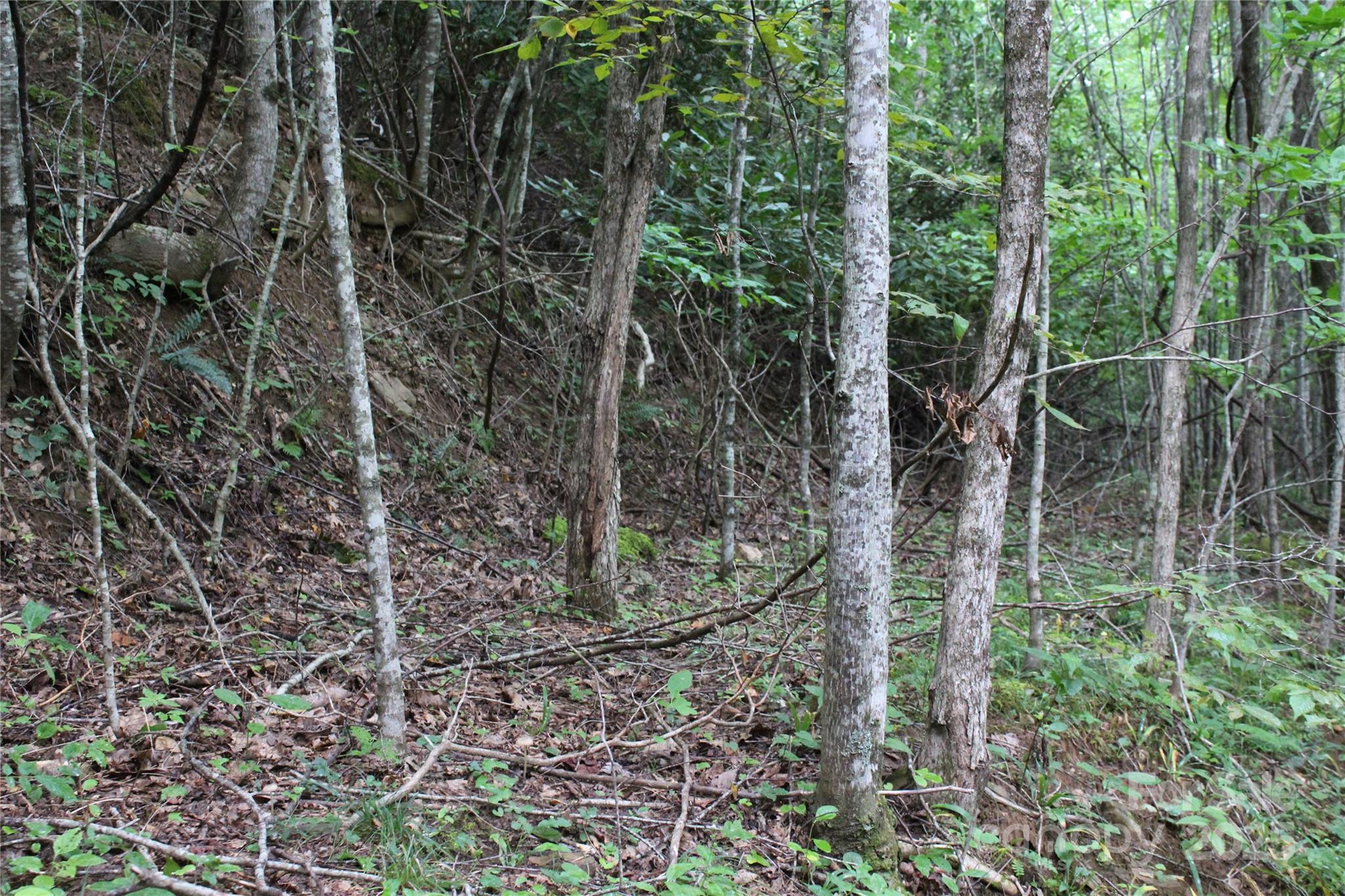 Lots 8 & 13 Laurel Hill Drive Spruce Pine NC 28777