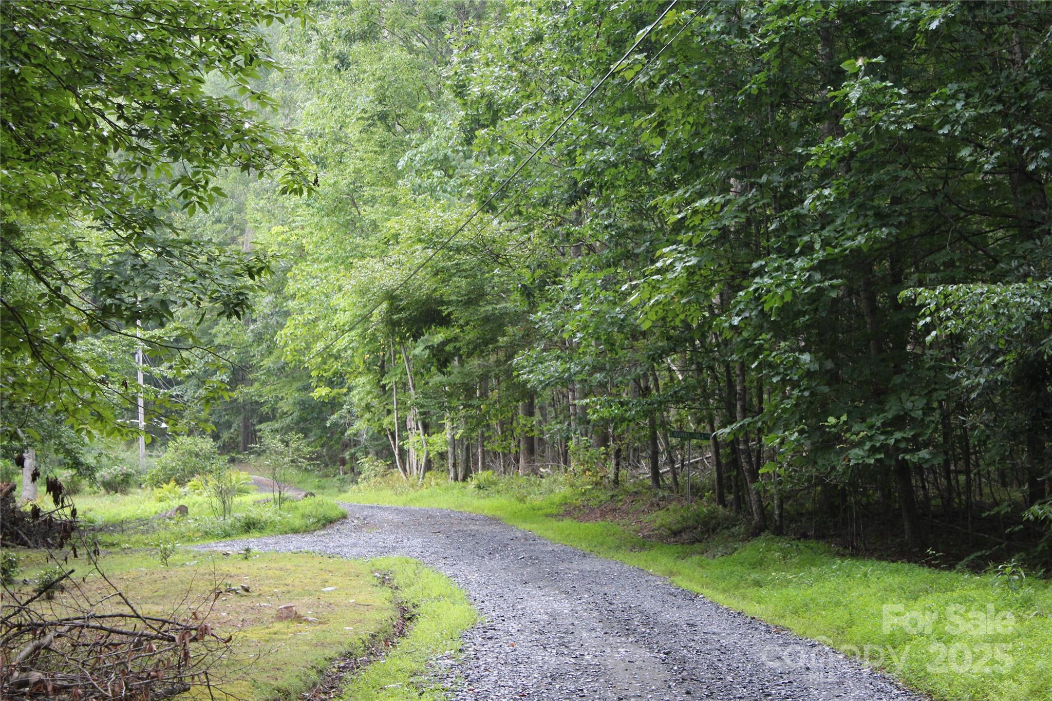 Lots 8 & 13 Laurel Hill Drive Spruce Pine NC 28777