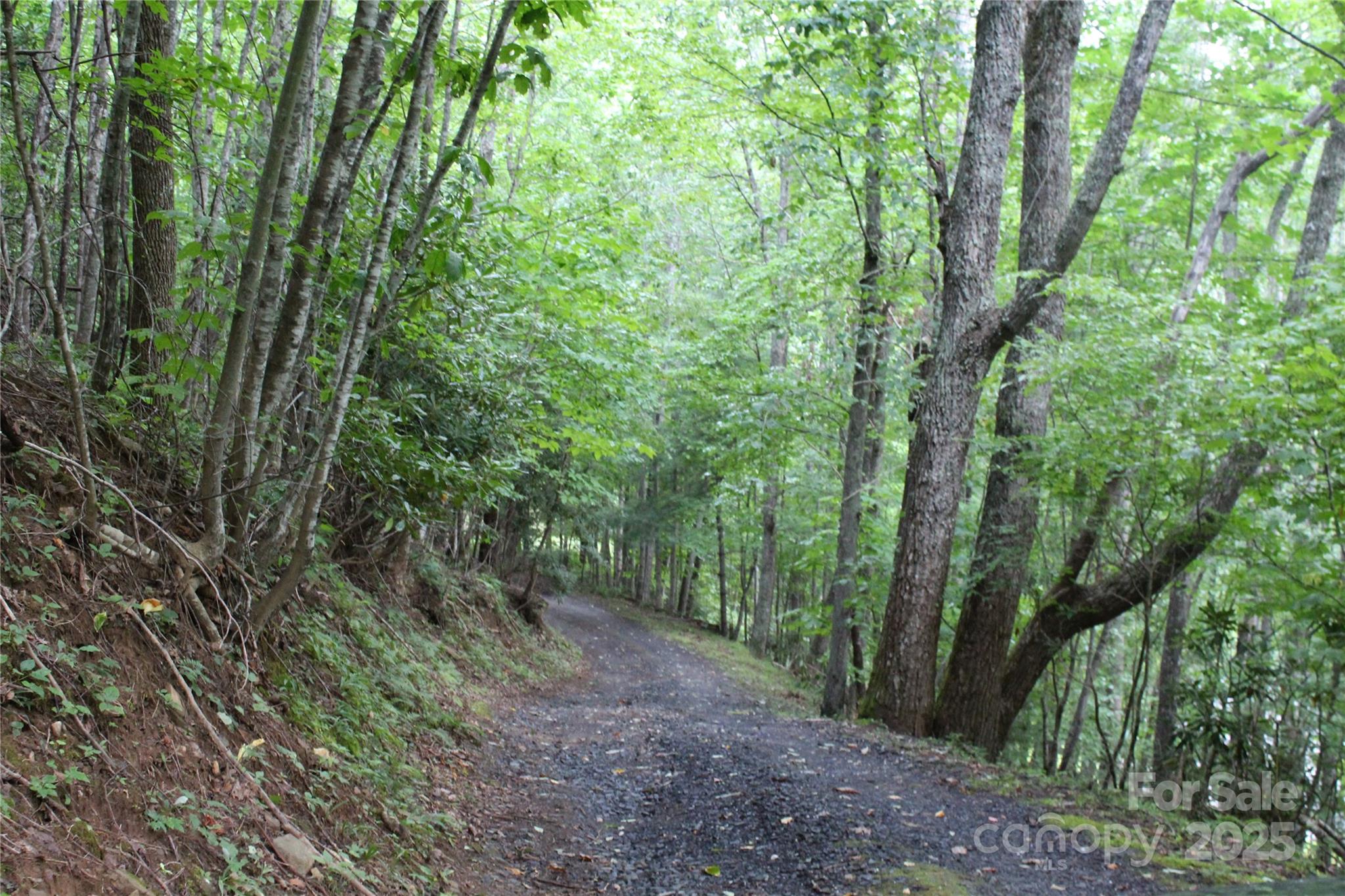 Lots 8 & 13 Laurel Hill Drive Spruce Pine NC 28777