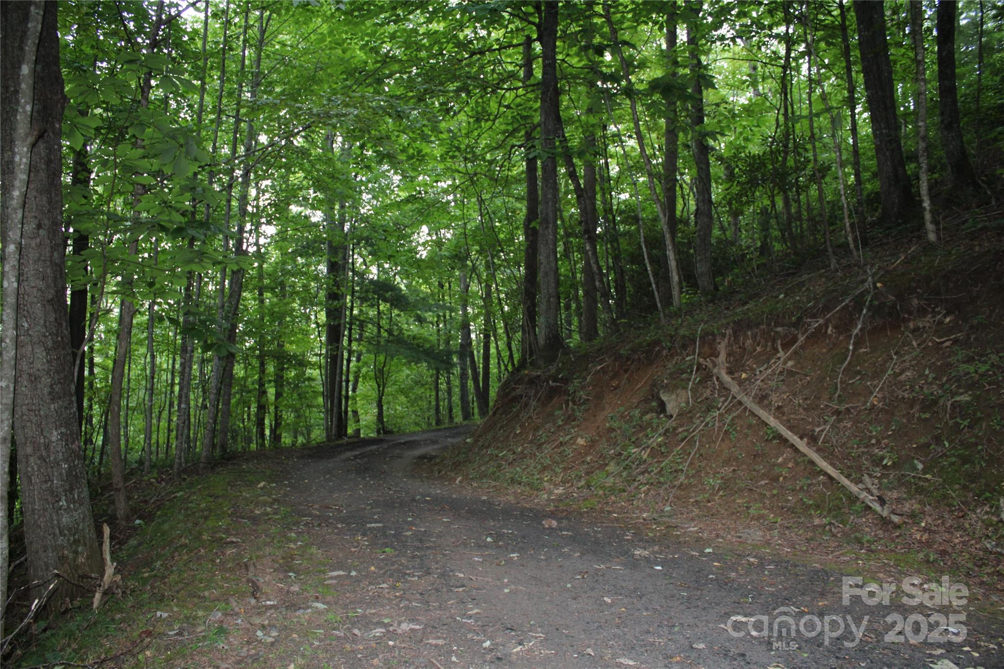 Lots 8 & 13 Laurel Hill Drive Spruce Pine NC 28777