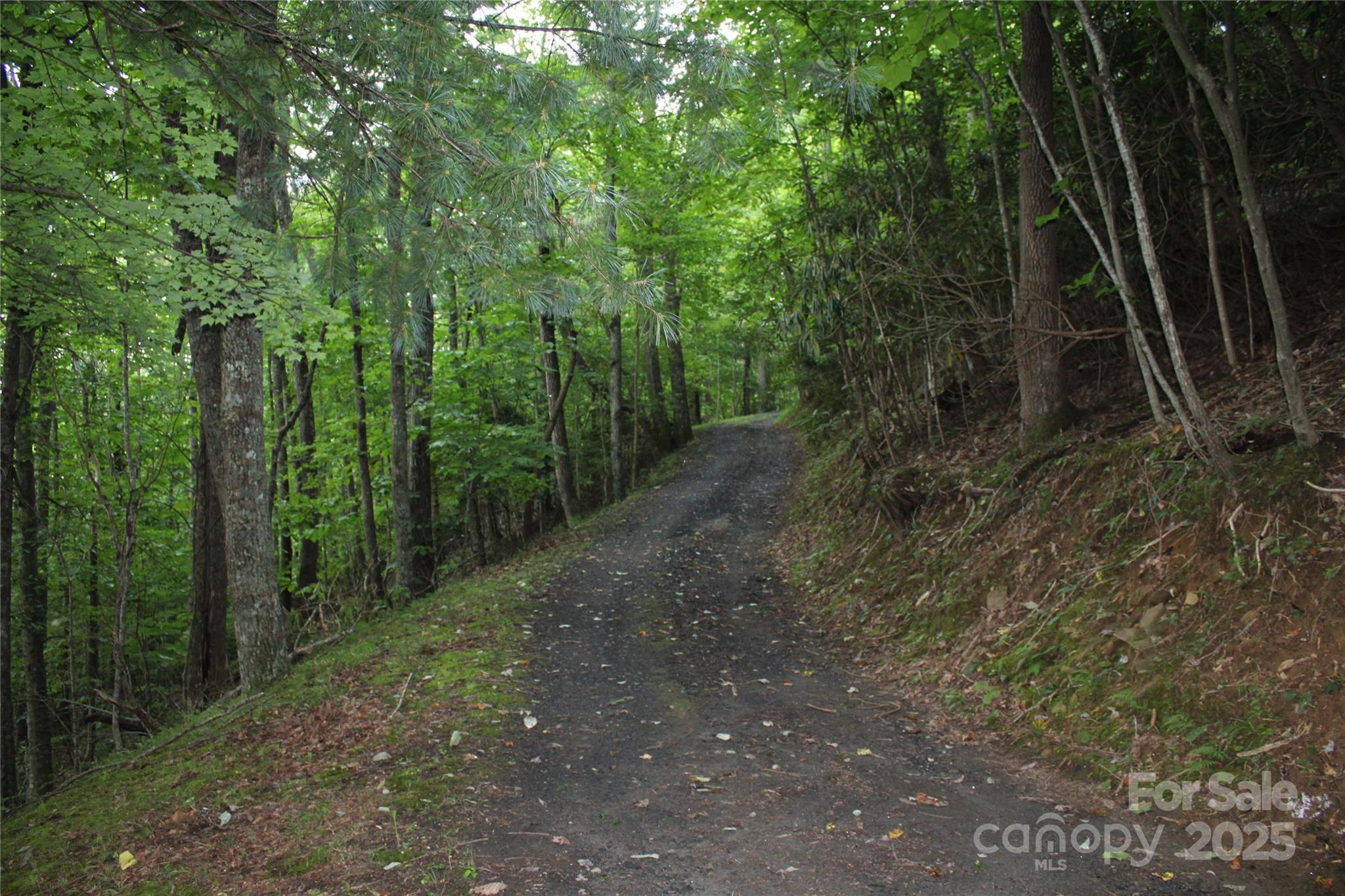 Lots 8 & 13 Laurel Hill Drive Spruce Pine NC 28777