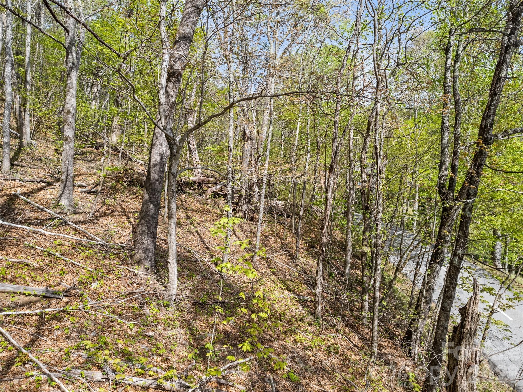 00 Presidential Drive Waynesville NC 28786