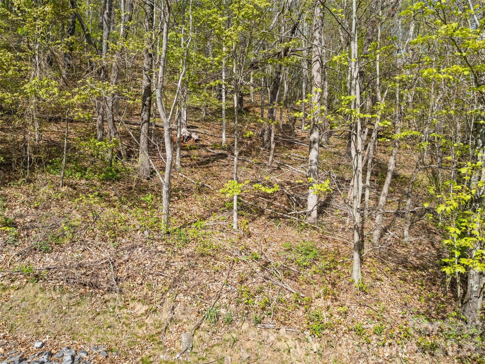 00 Presidential Drive Waynesville NC 28786