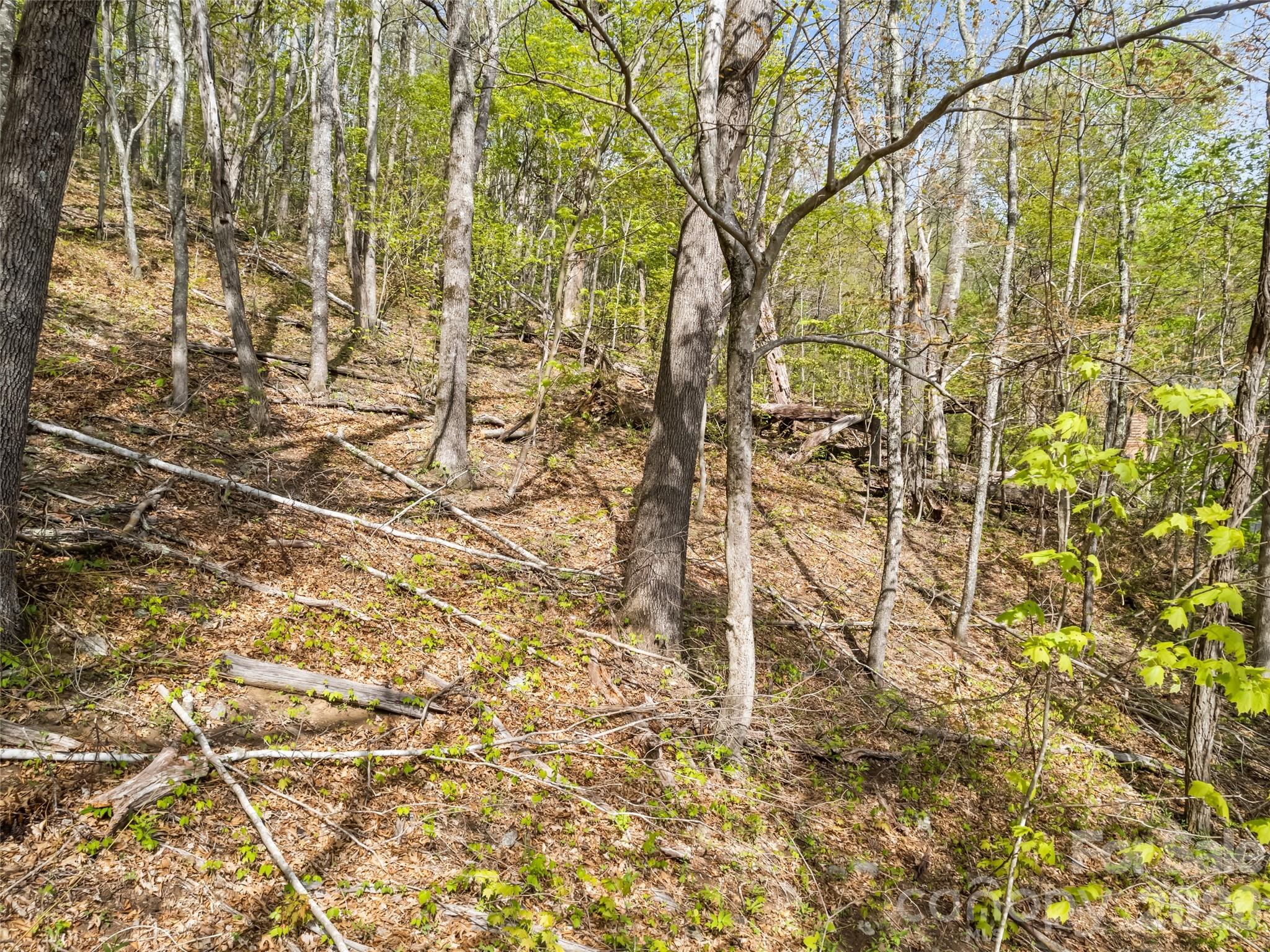 00 Presidential Drive Waynesville NC 28786