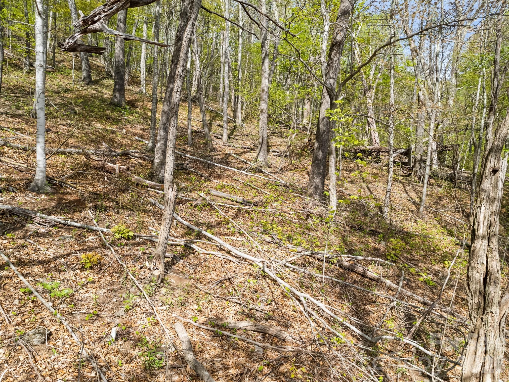 00 Presidential Drive Waynesville NC 28786