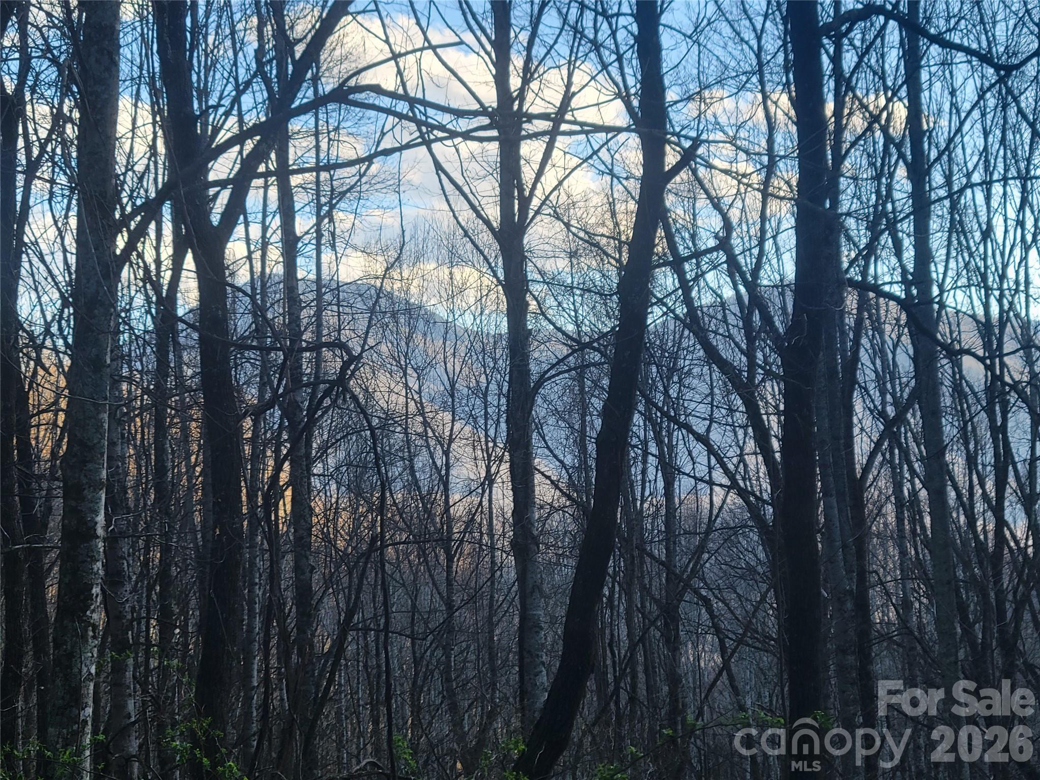 00 Rosewood Lane Maggie Valley NC 28751